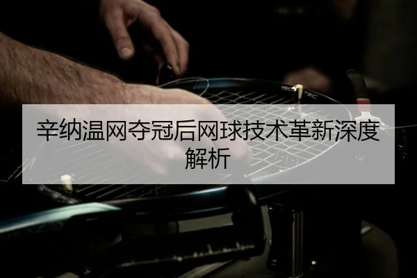 辛纳温网夺冠后网球技术革新深度解析