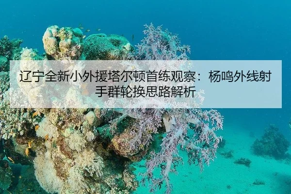 liao-ning-quan-xin-xiao-wai-yuan-ta-er-dun-shou-lian-guan-cha-yang-ming-wai-xian-she-shou-qun-lun-huan-si-lu-jie-xi-2-513.jpg